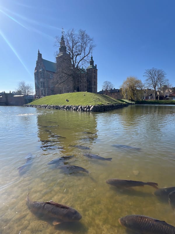 Tourist photographs Rosenborg Castle gardens in Copenhagen sunshine