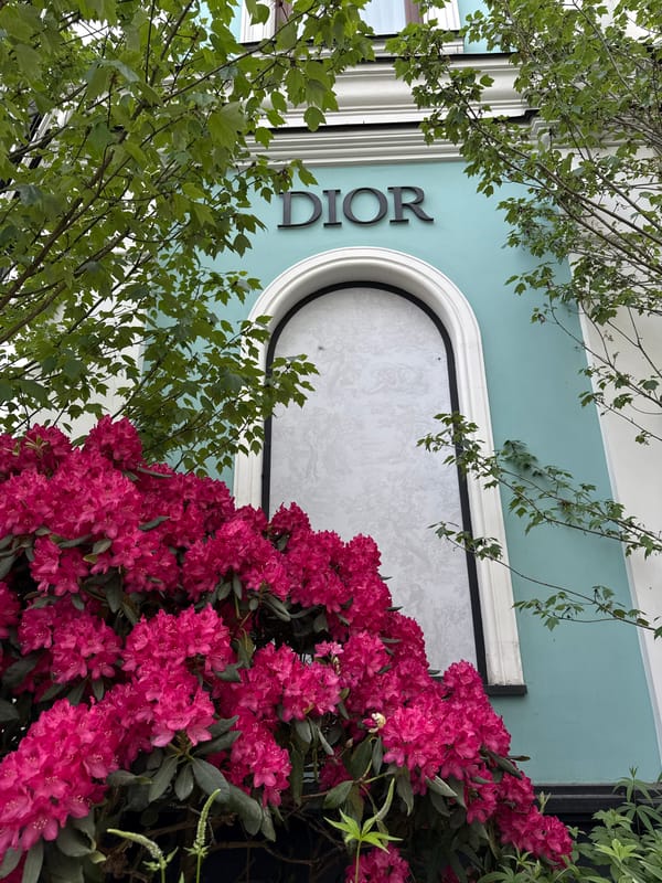 Moscow street scenes captured near Dior boutique and flowering gardens