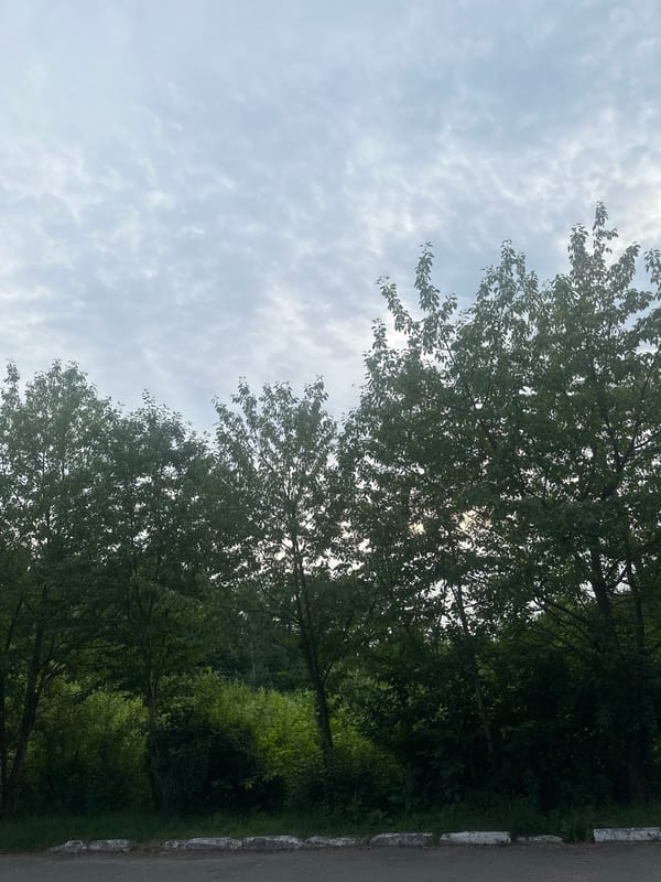 Quiet afternoon in Berezyna, drifting between indoors and out
