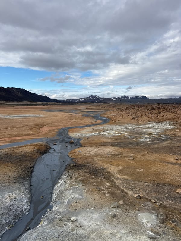Visitor documents active geothermal features at Iceland's Hverir area