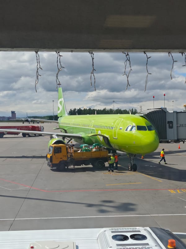 Traveler documents hour-long journey through Saint Petersburg airport