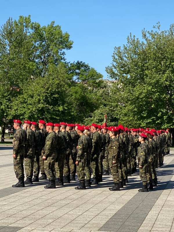 Military formation observed at Pleven memorial site