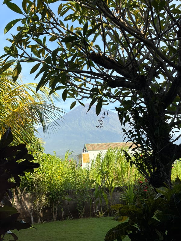 Garden view with mountain backdrop captured in Abang, Indonesia