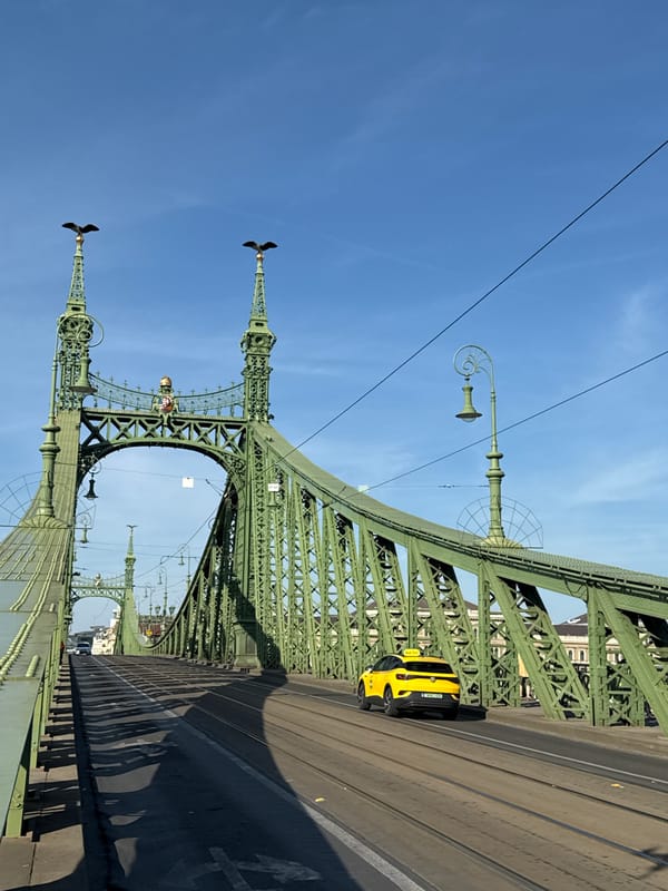 Liberty Bridge documented in detailed views over two minutes