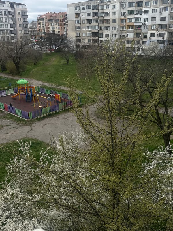 Sofia resident documents pets, overcast cityscape during afternoon