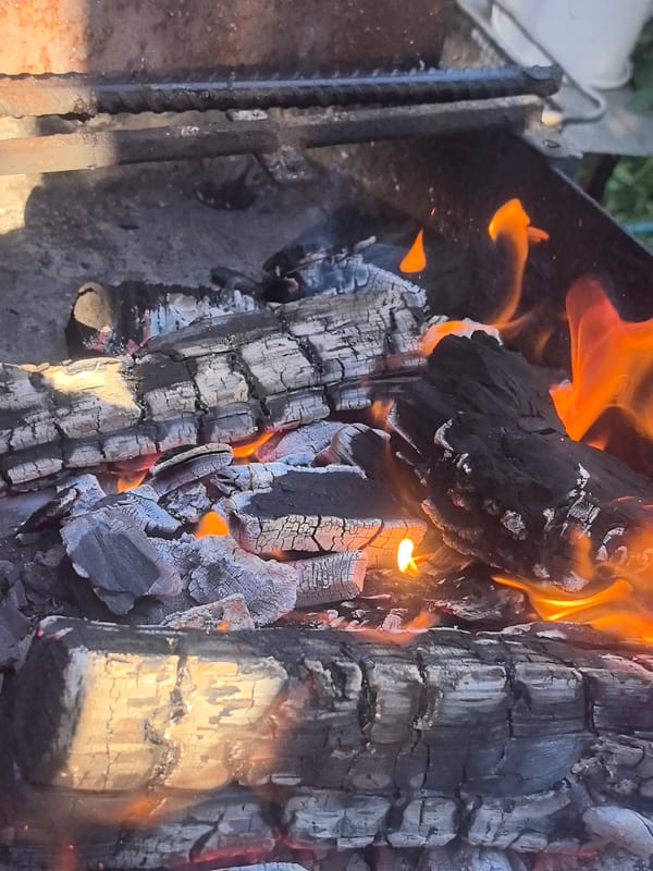 Summer day at a Russian dacha: garden, grill, and cold beer