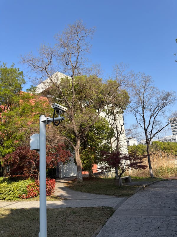 Surveillance cameras spotted on pole in Jiangning District