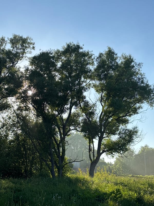 Couple captures sunny afternoon moments in Lepilovo, Russia