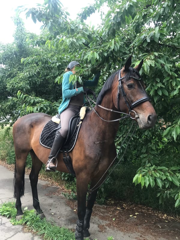 Leisurely horseback ride along a green path in Kharkiv