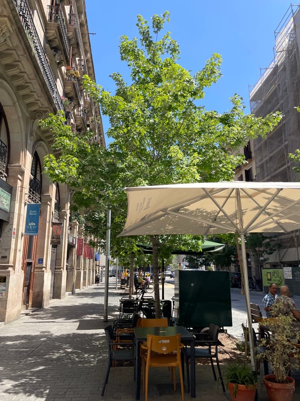 El Born neighborhood on a busy sunny afternoon in Barcelona