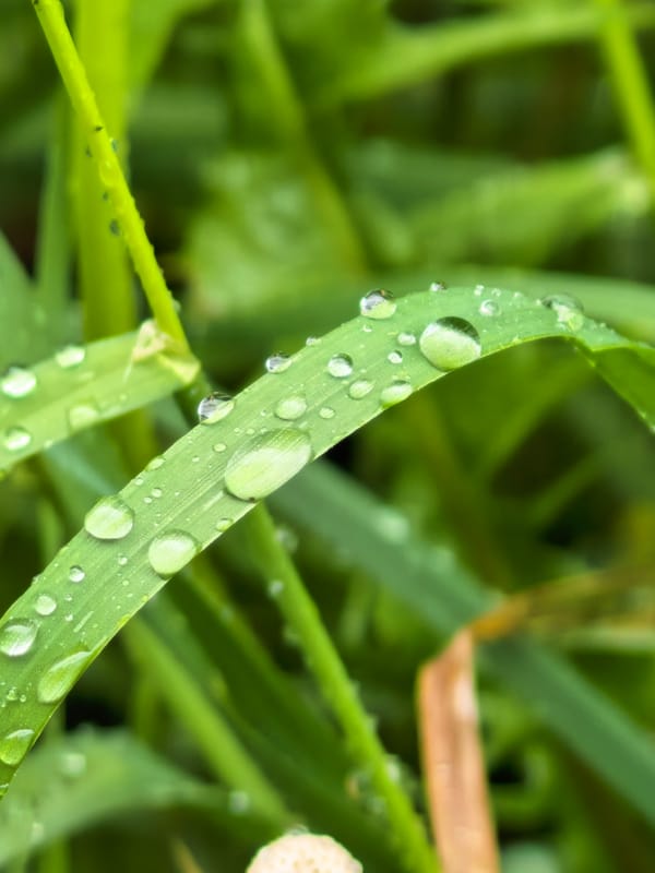 Early morning rain documented in Sterlitamak, Russia