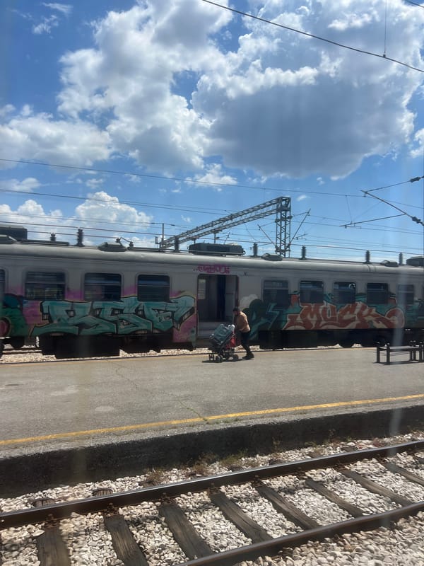Graffitied train spotted at Podgorica station by passing passengers