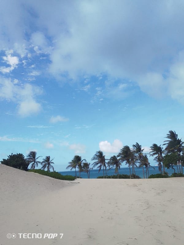 Coastal scenery documented in Pedro González, Venezuela