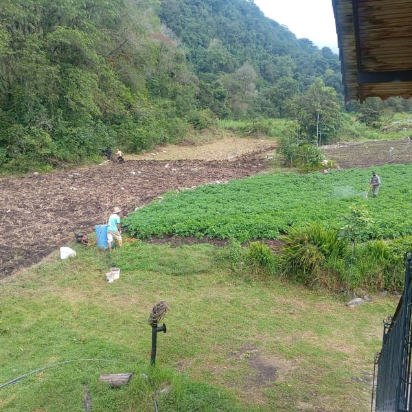 Rural farmland shows mixed field conditions during spring season