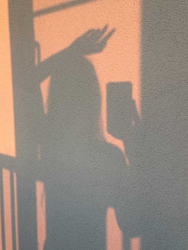 Peace sign shadow, rural sunset, and a curtained window view