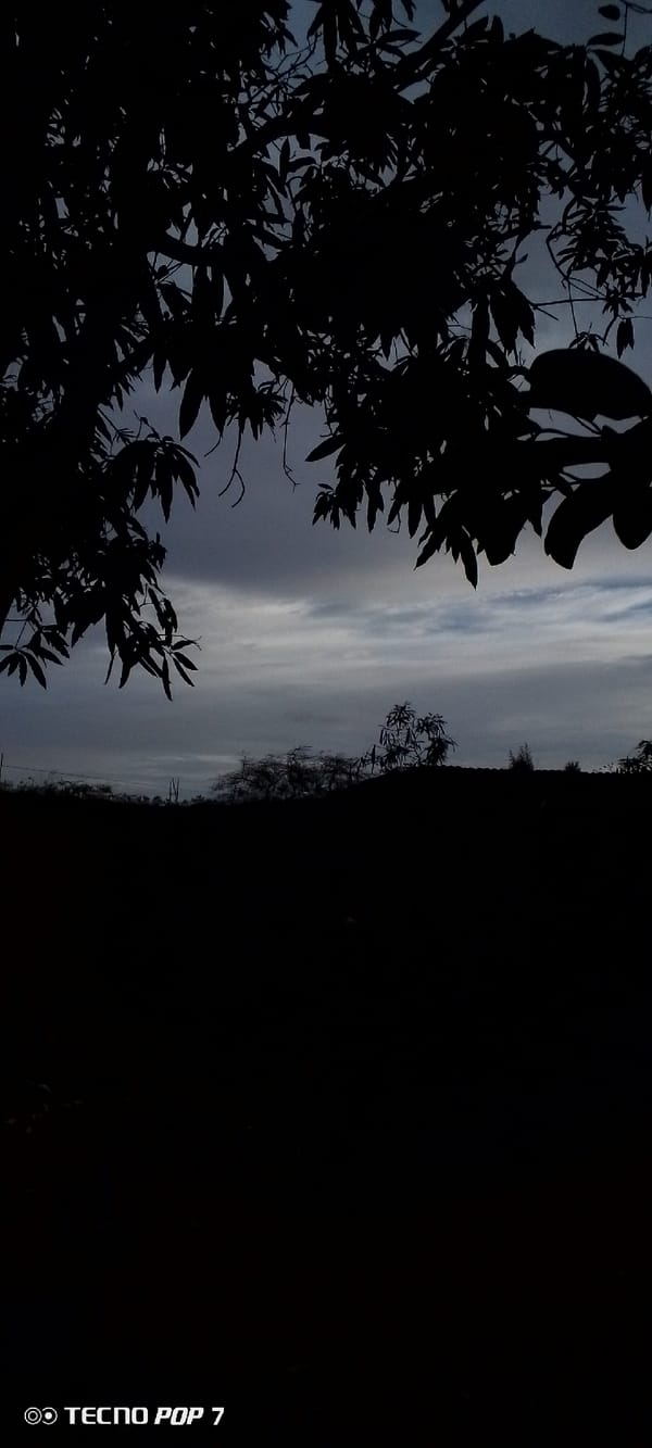 Dusk settles over a quiet residential block in Altagracia