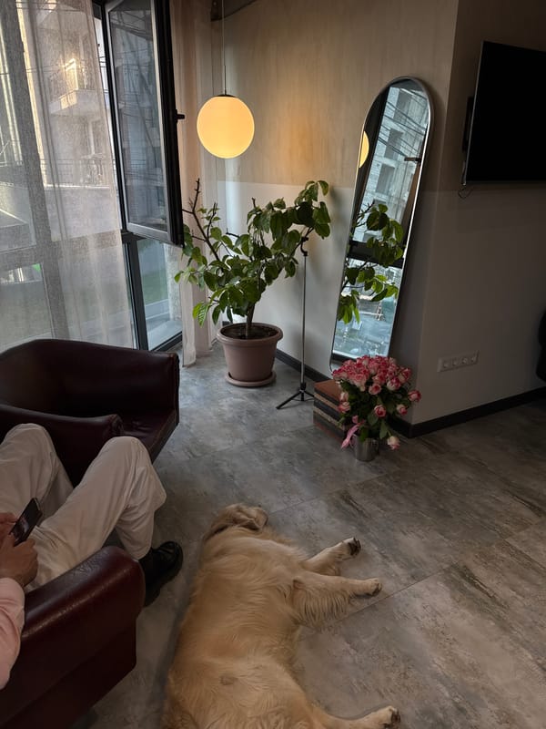 Domestic scenes captured in Yerevan residence over two minutes