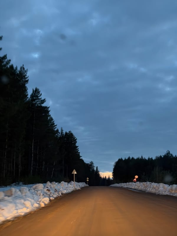 Rural road conditions documented in Kostovaty, Russia