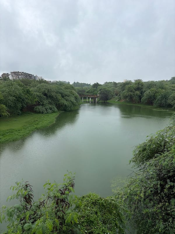 Rainy morning at Feroz Shah Kotla ruins, Delhi