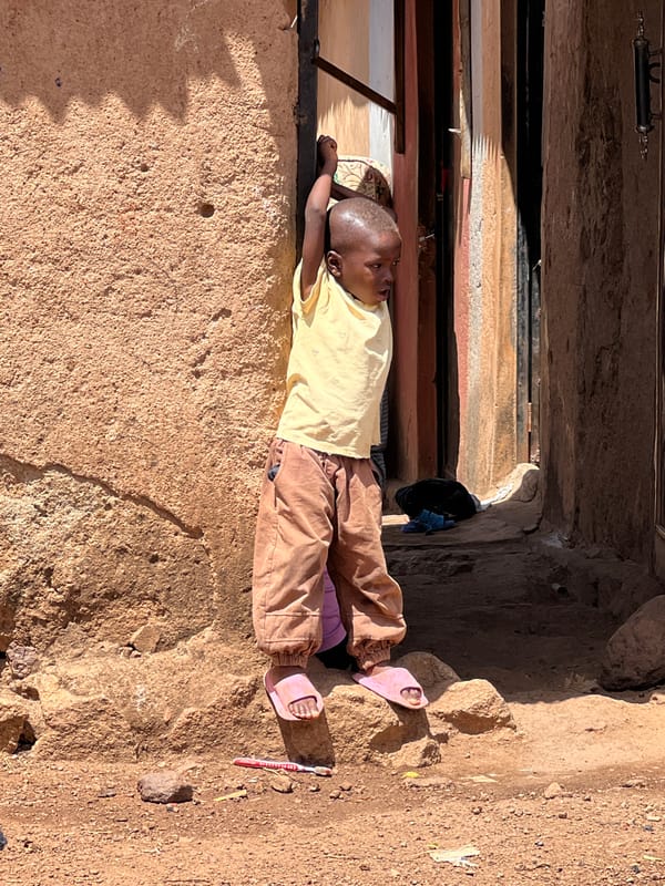 Daily life scenes documented across northern Nigeria markets, streets