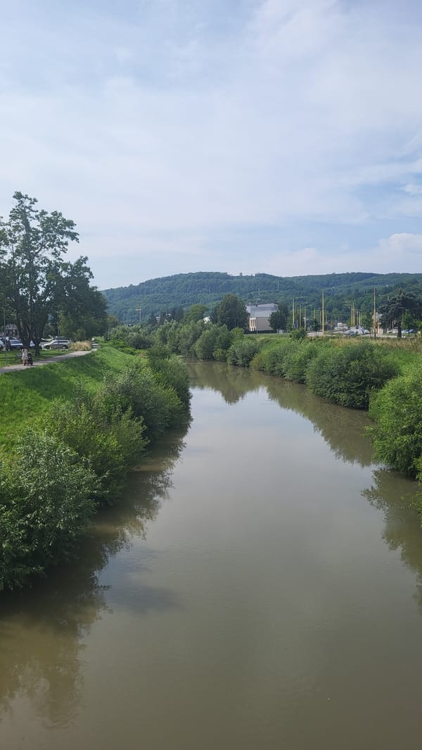 River, nest, and wildflowers along a Prešov nature path