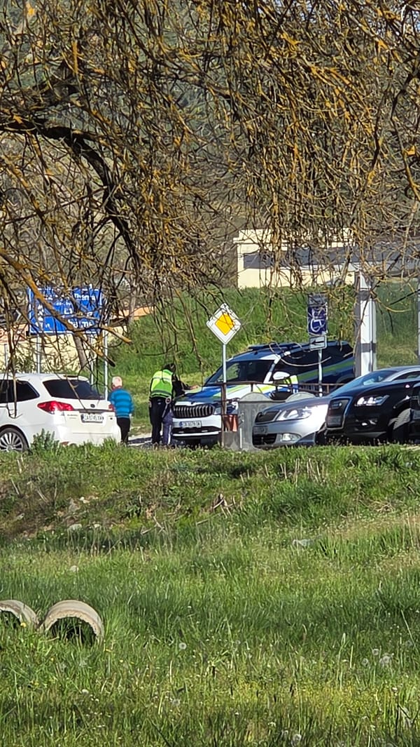 Safety worker spotted near parked vehicles on city roadside