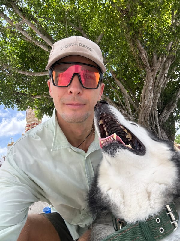 Exploring Wat Chalong with a husky in tow