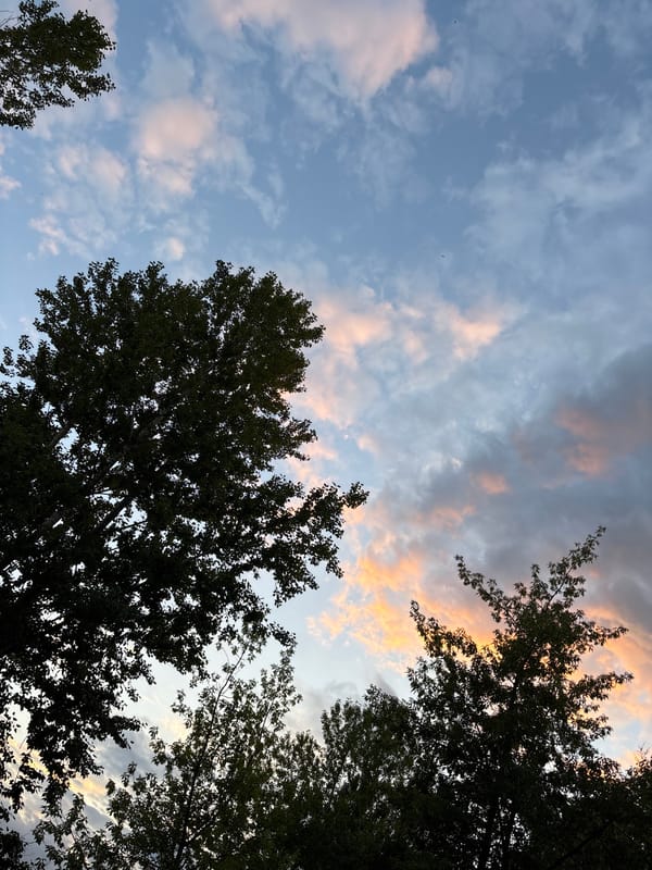 Quiet evening at home in Rusanovo, dusk skies and casual moments.
