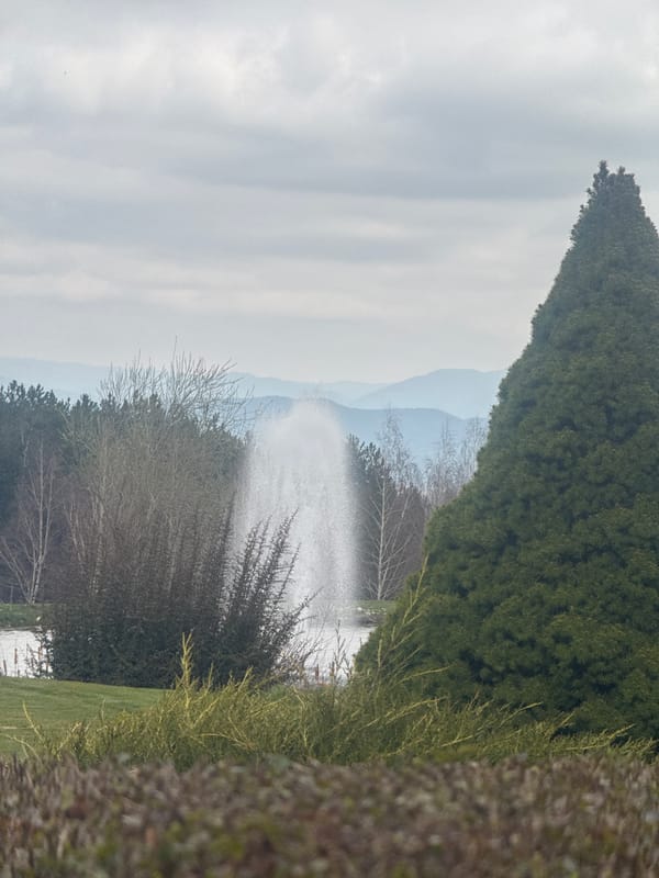 Morning documentation of fountain pond in Razlog, Bulgaria