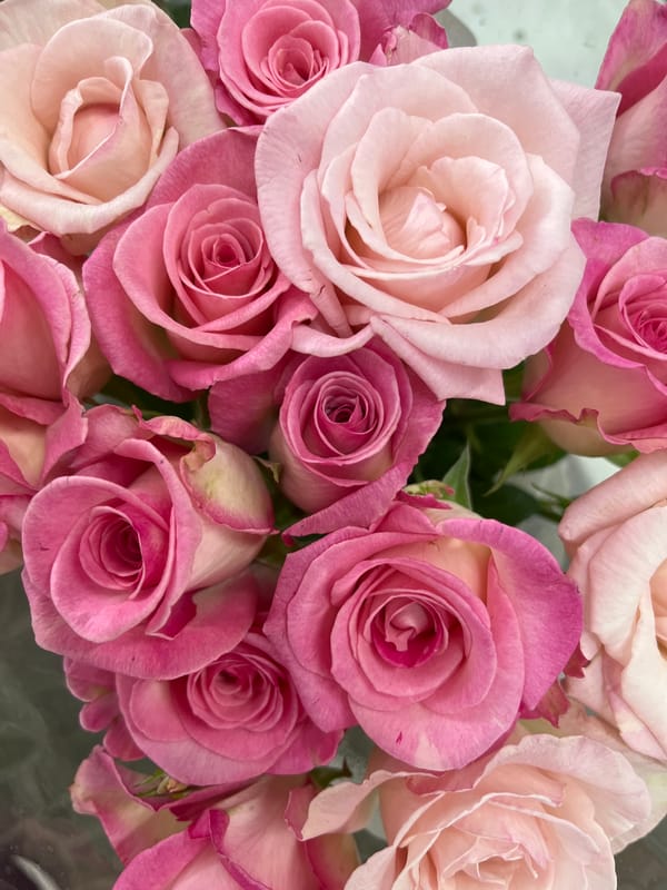 Witness documents diverse flower bouquets in detailed photography session