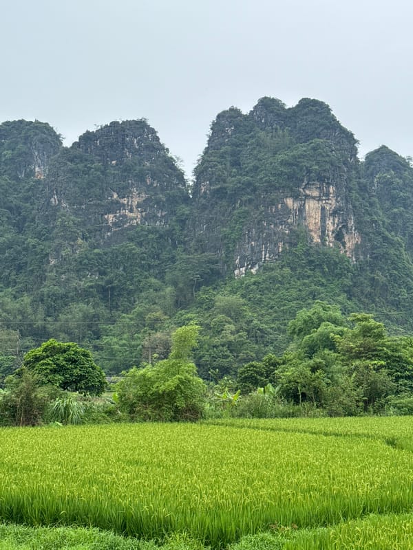 Rural farming landscapes documented near Mãn Đức, Vietnam