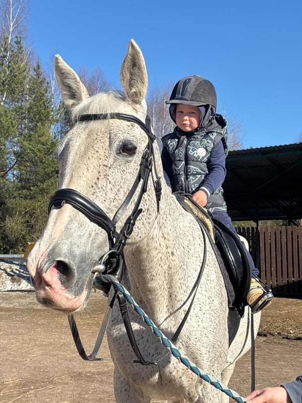Child practices horseback riding in Russian outdoor arena