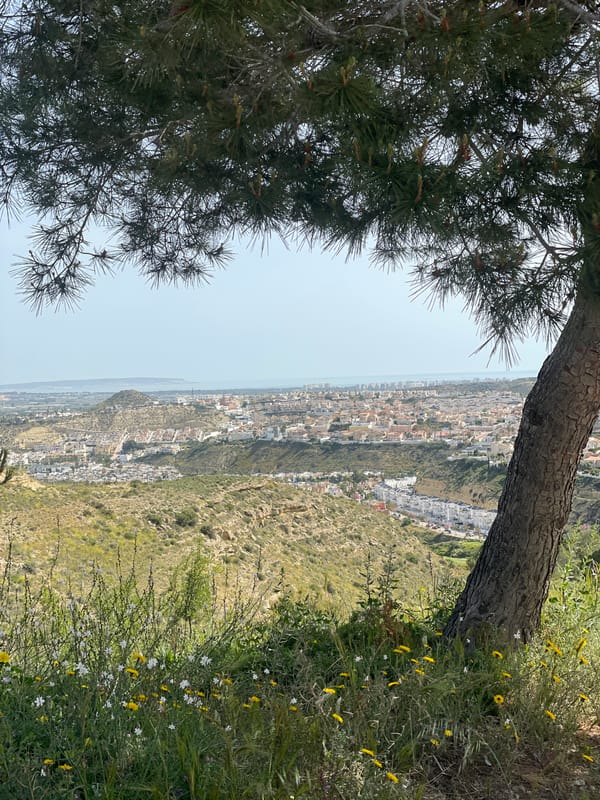Spring morning views captured across Costa Blanca countryside