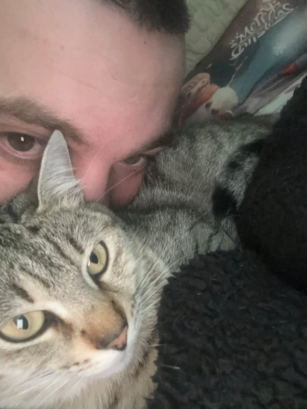 Human and tabby cat photographed; urban sky captured