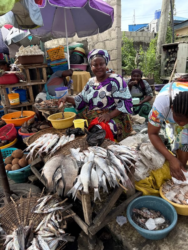 Nigerian Market Life Documented Across Lagos Region