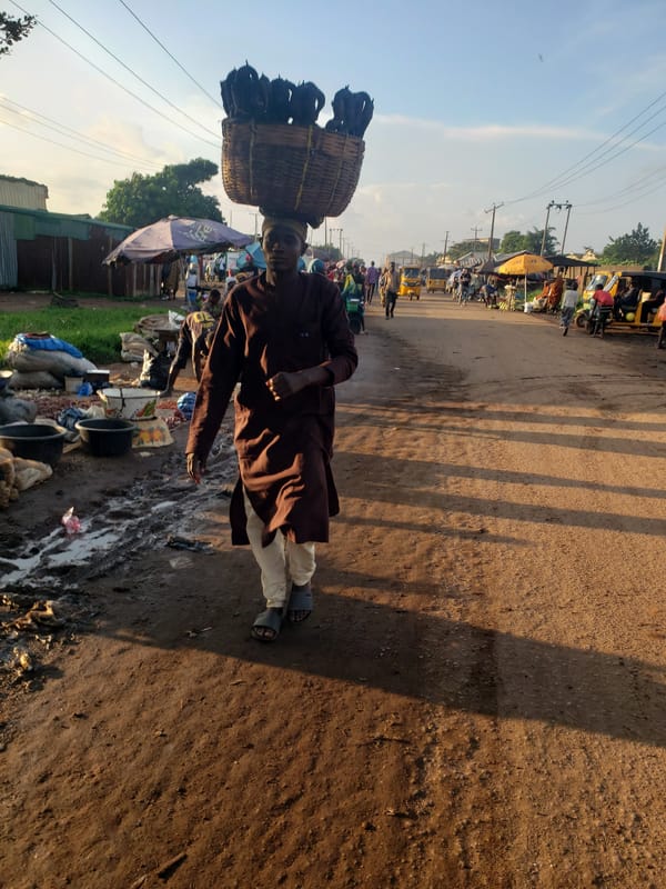 Afternoon market hustle in Kakuri Gwari, Nigeria