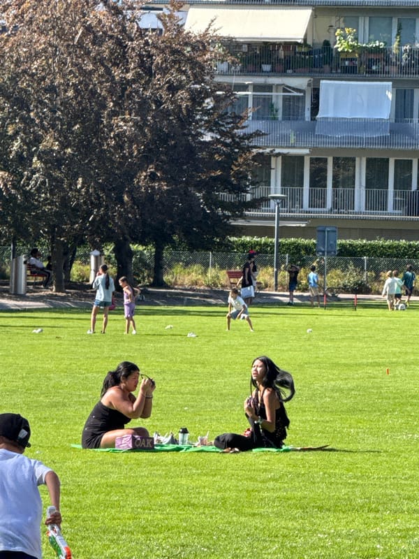 Sunny afternoon in a Zurich park, city life on display