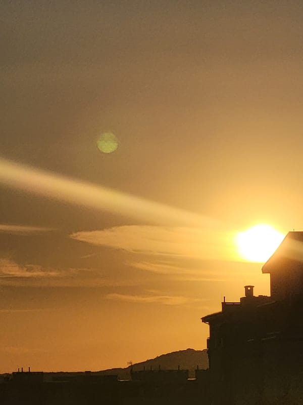 Urban sunset from every angle, plus a cat