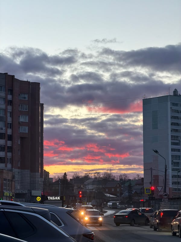 Cat owner documents afternoon with pet during Perm sunset