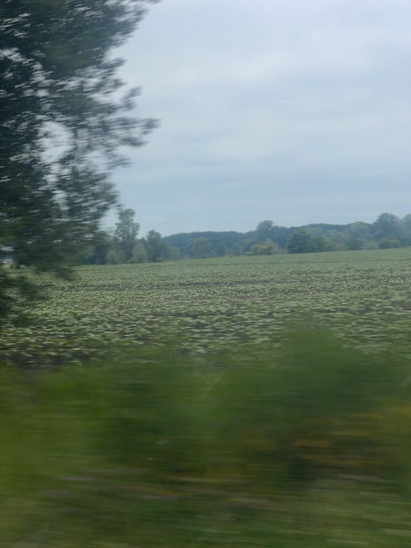 Vehicle journey documented through rural Kopyli, Ukraine countryside