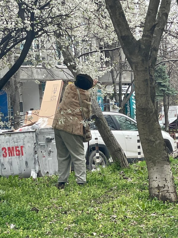Person stands on truck back in Sofia street scene