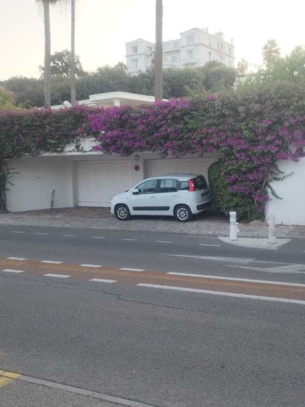 Antibes side street: parked car, bougainvillea, and flowering hedges
