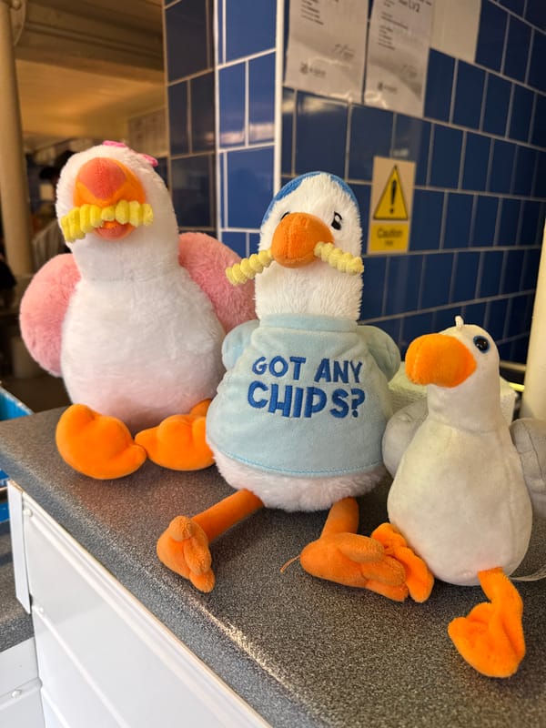 Stuffed seagull trinkets on display in Great Yarmouth