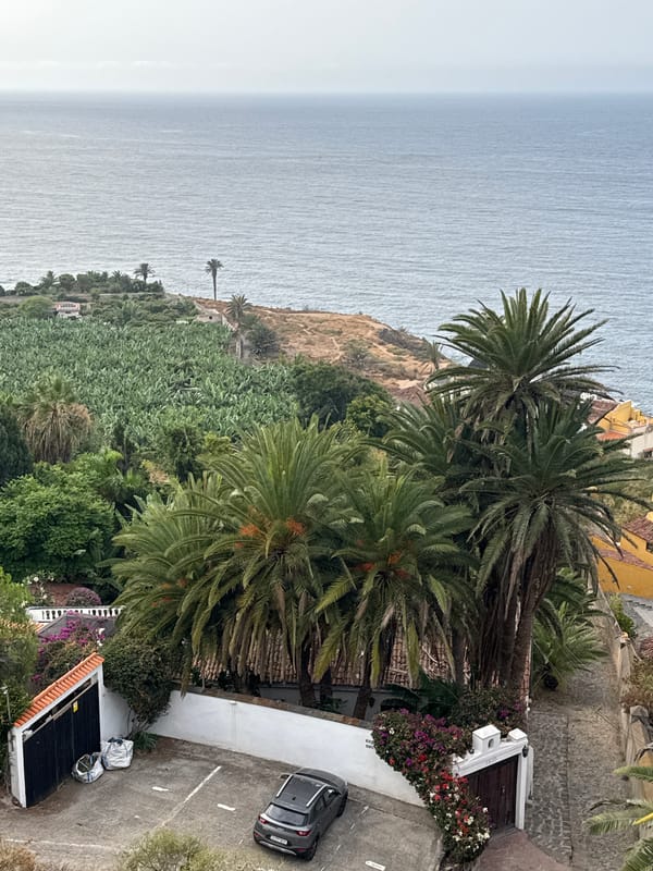 Coastal overlook stop with ocean views and a car break