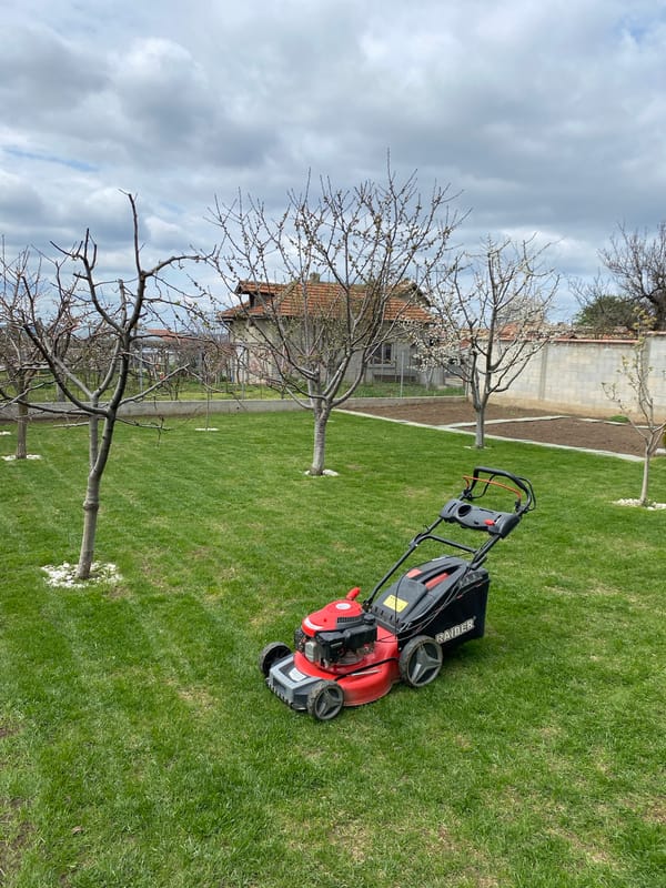 Lawnmower spotted on residential lawn in Tervel, Bulgaria