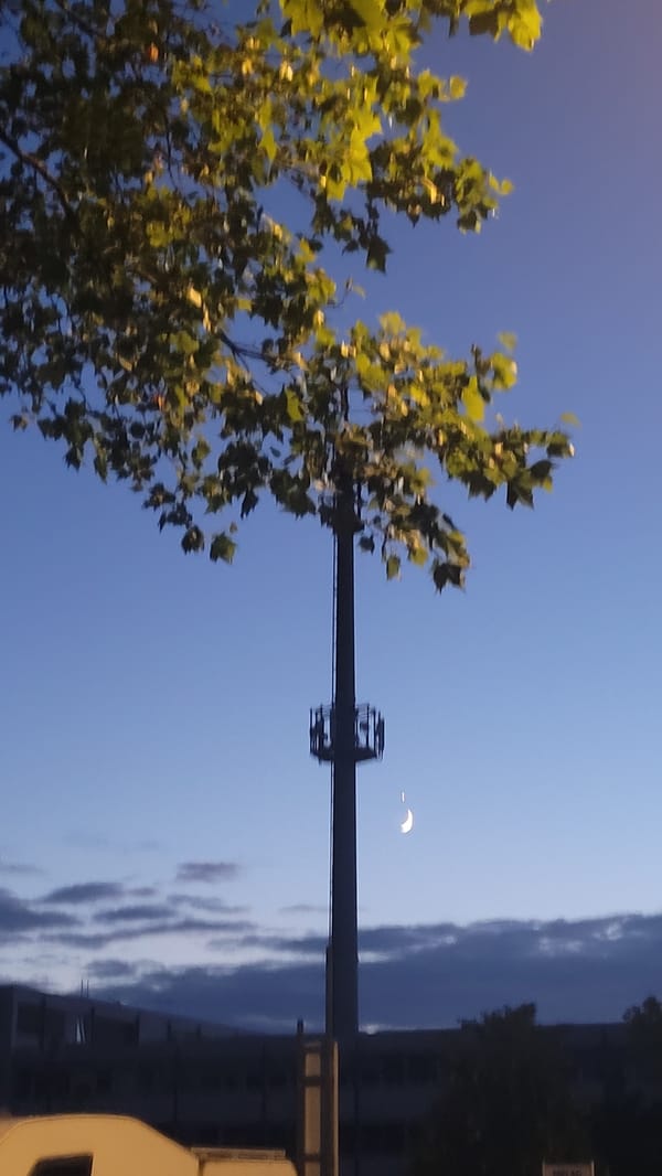 Crescent moon rises over a quiet neighborhood at dusk.