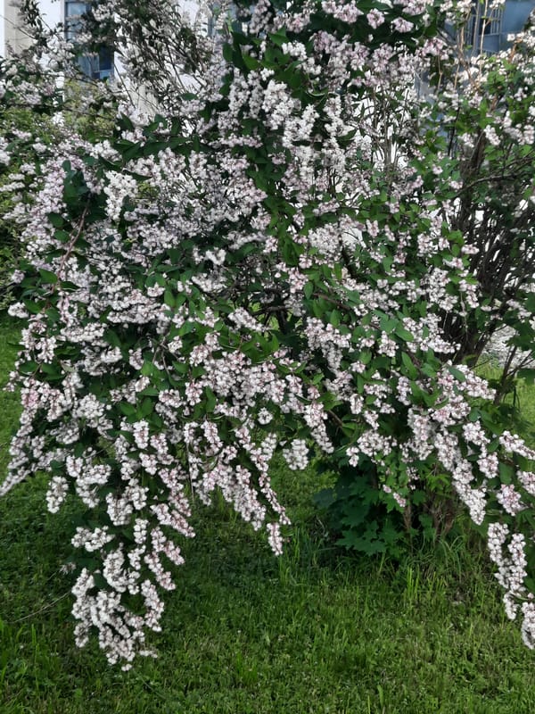 Rural countryside walk through villages, gardens, and pastoral landscapes