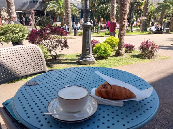 Morning cafe culture documented in sunny Sochi, Russia