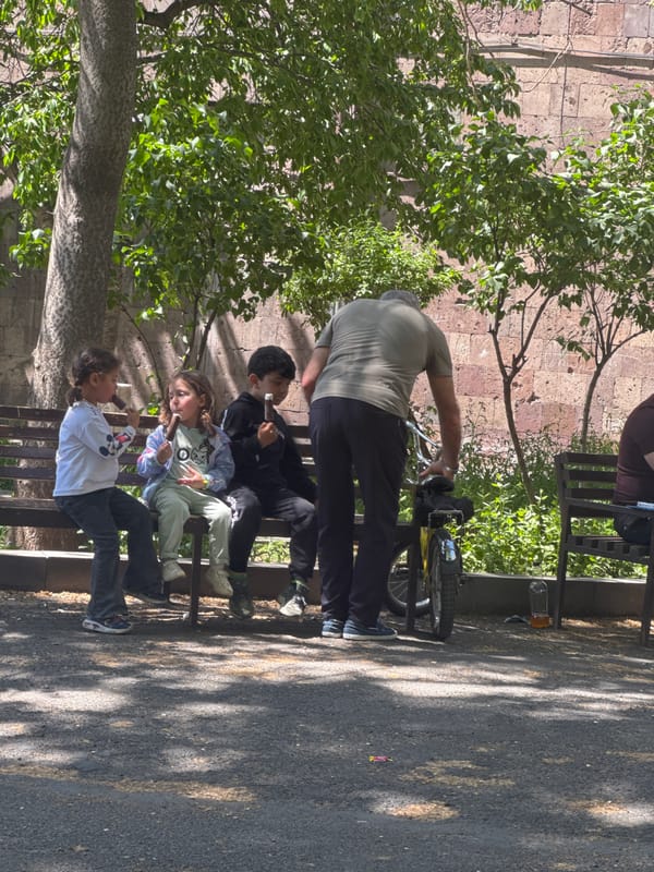 Park gathering with children, adults observed in Yerevan
