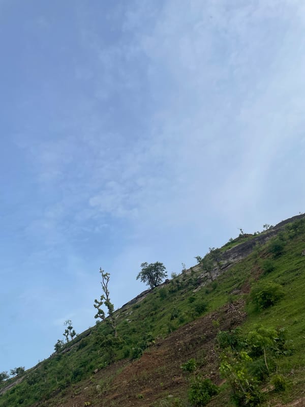 Rocky hillside, grazing cattle, and an old water tank in Jauro Yinu